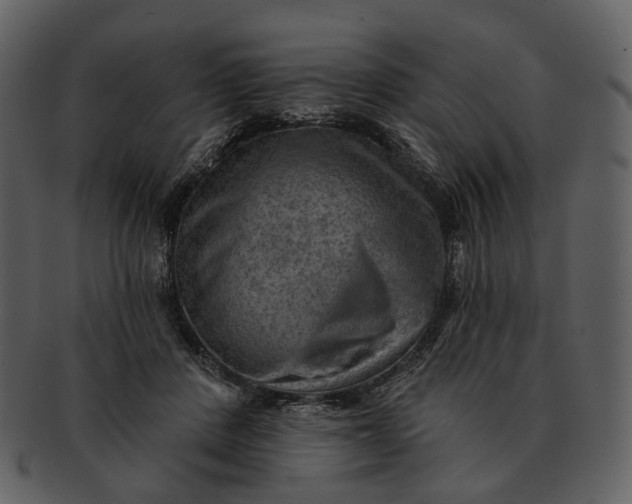 X0000093110408200710171227