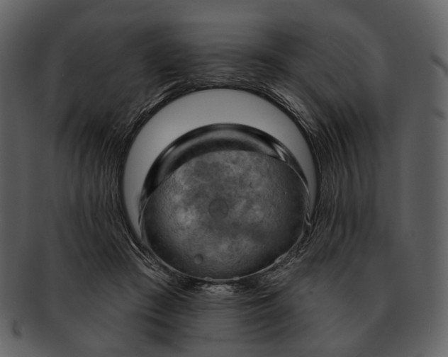 X0000093110409200710171227