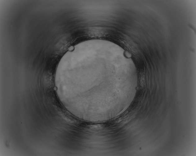 X0000093110411200710171227