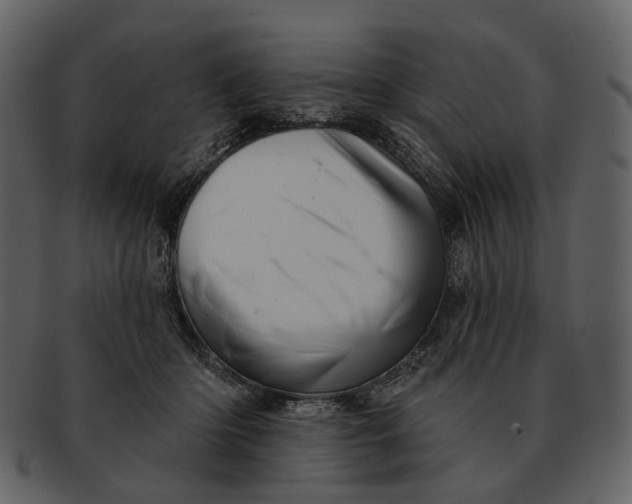 X0000093110414200710171227