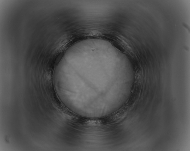 X0000093110415200710171227