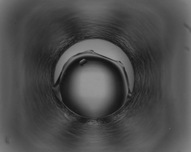 X0000093110416200710171227