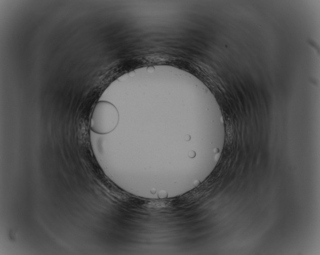 X0000093110418200710171227