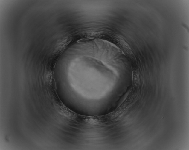 X0000093110419200710171227