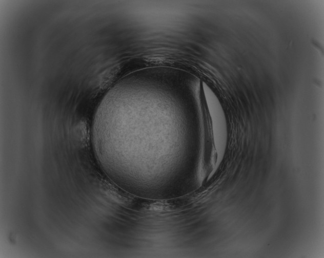 X0000093110420200710171227