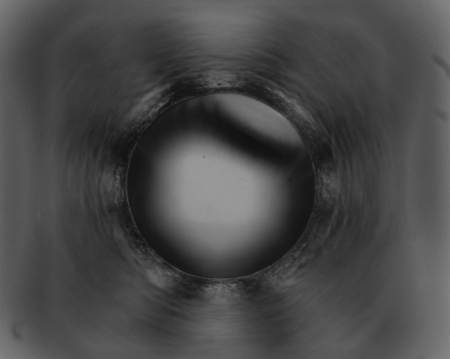 X0000093110422200710171227