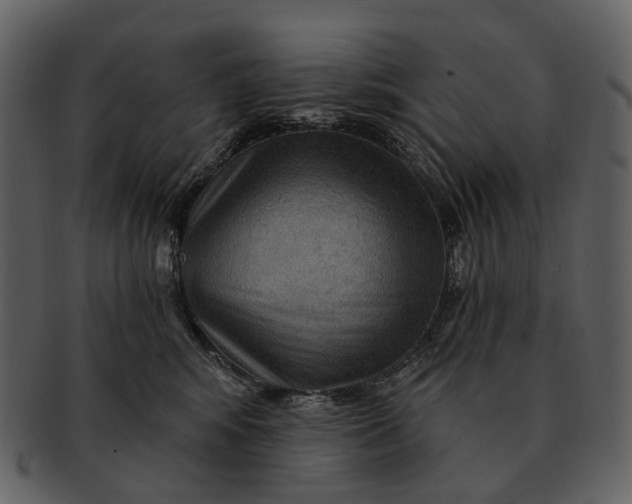 X0000093110424200710171227