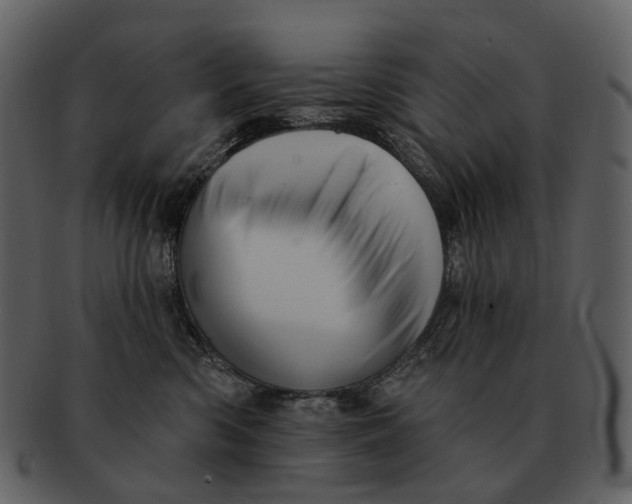 X0000093110426200710171227