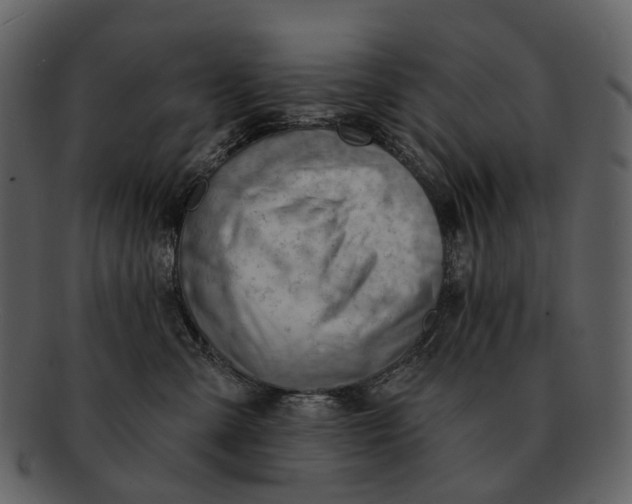 X0000093110427200710171227