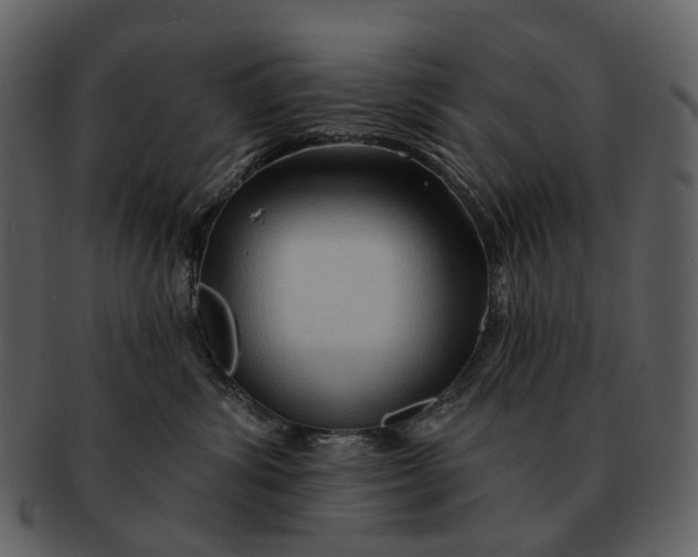 X0000093110428200710171227