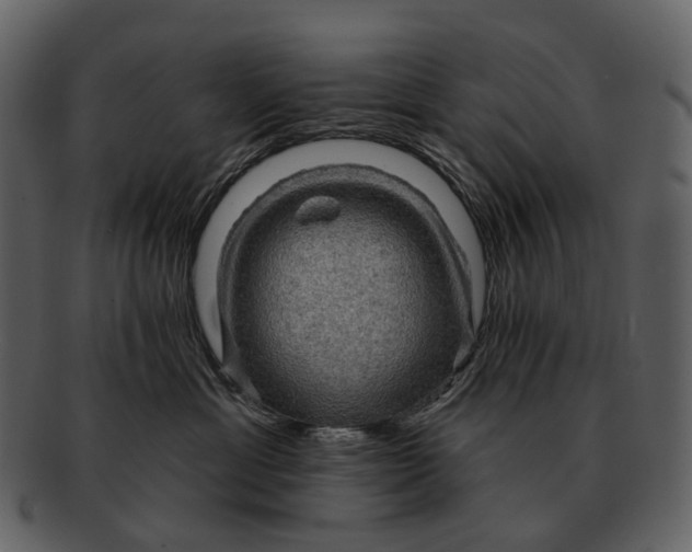 X0000093110429200710171227