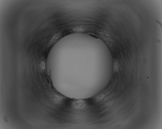 X0000093110431200710171227