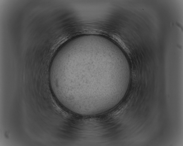 X0000093110433200710171226