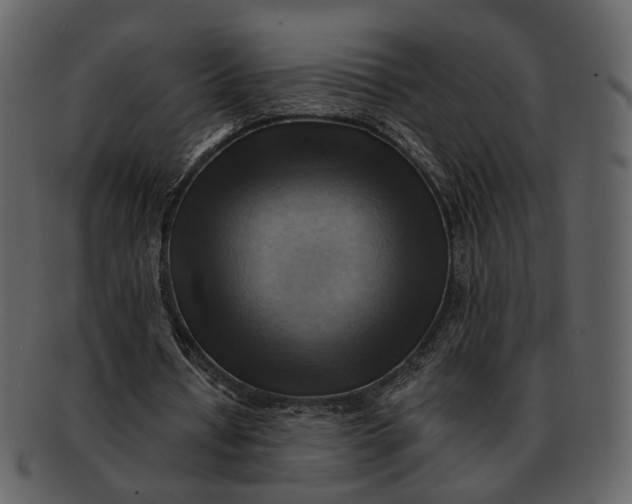 X0000093110434200710171226