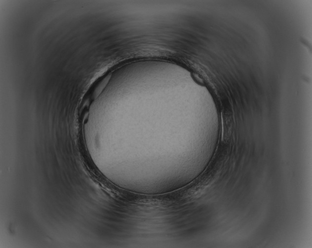 X0000093110435200710171226