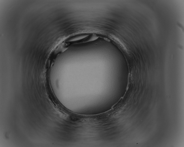 X0000093110436200710171226