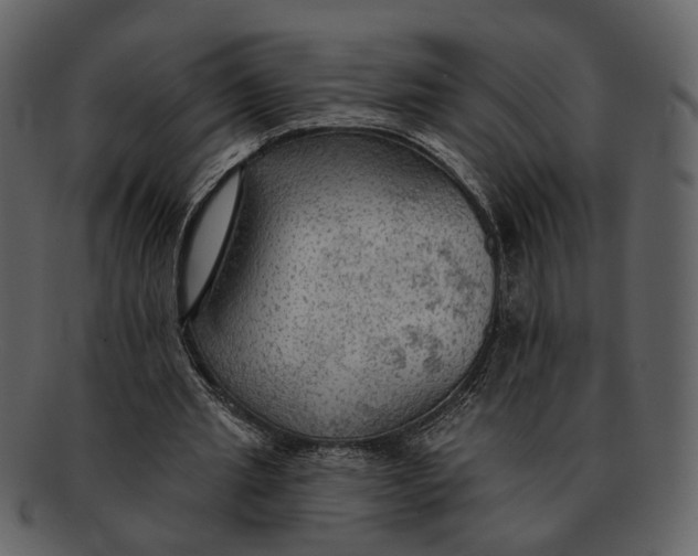 X0000093110437200710171226