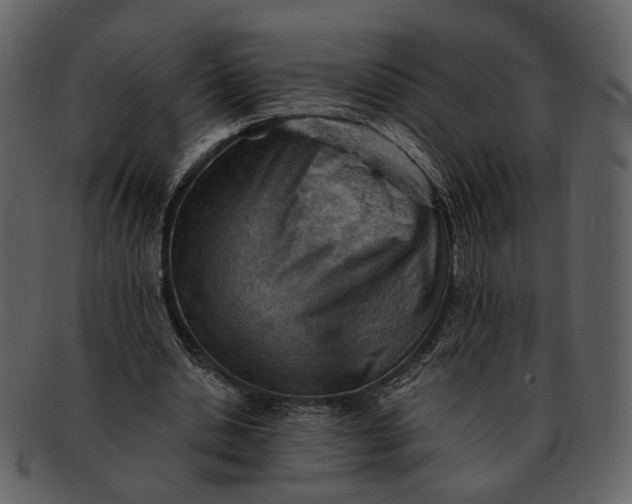 X0000093110438200710171226