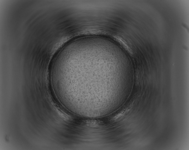 X0000093110439200710171226