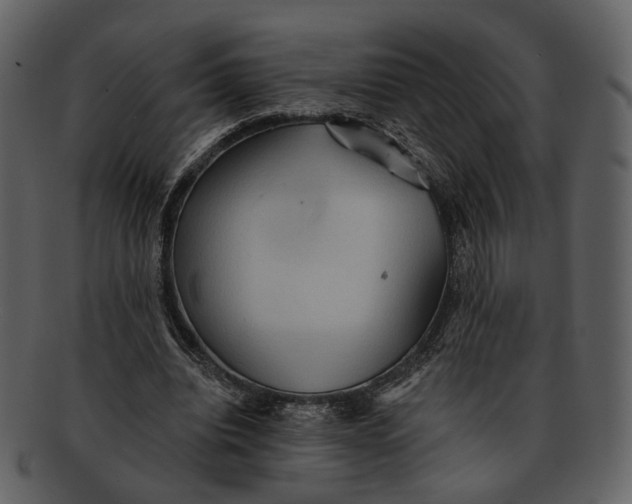 X0000093110440200710171226