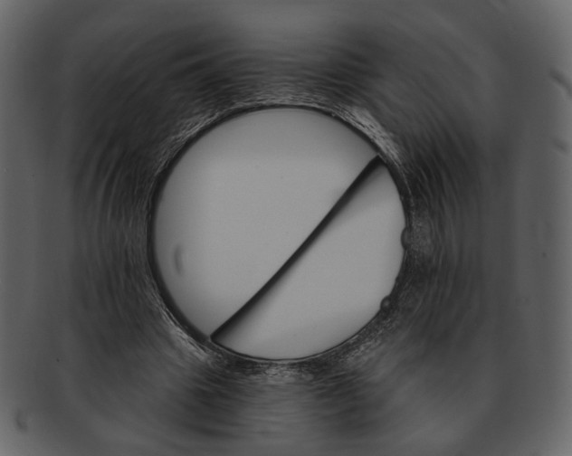 X0000093110441200710171226