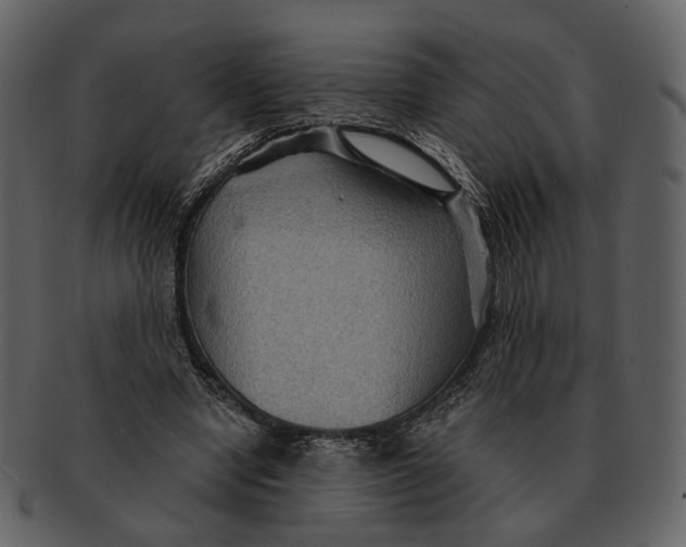 X0000093110442200710171226