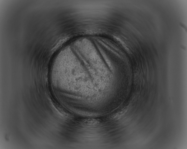 X0000093110443200710171226