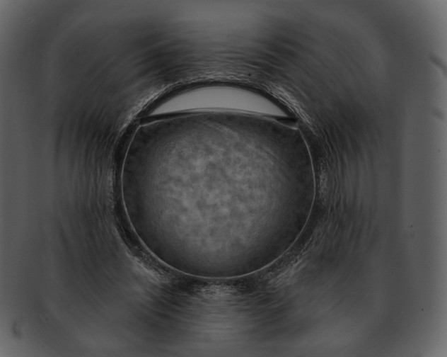 X0000093110444200710171226