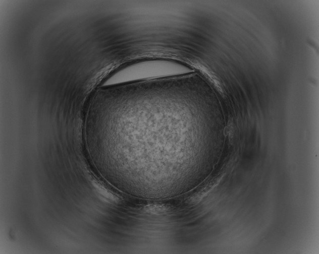 X0000093110445200710171226