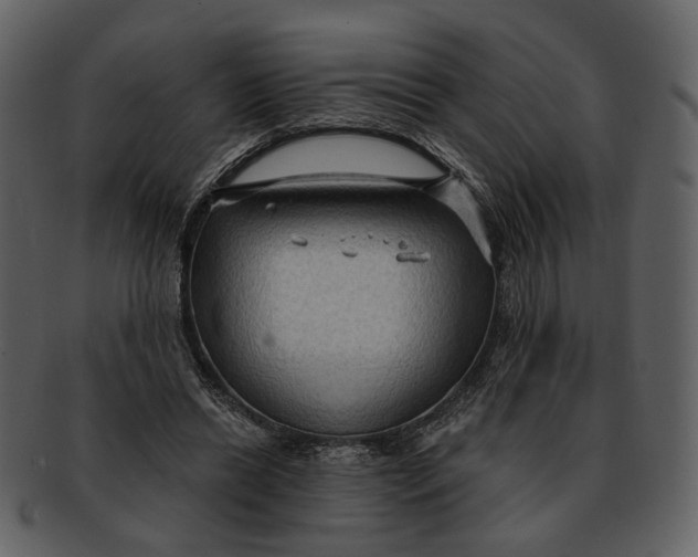 X0000093110446200710171226