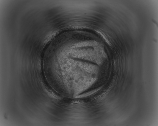 X0000093110447200710171226