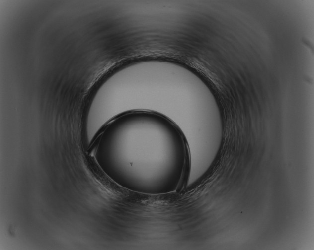 X0000093110448200710171226