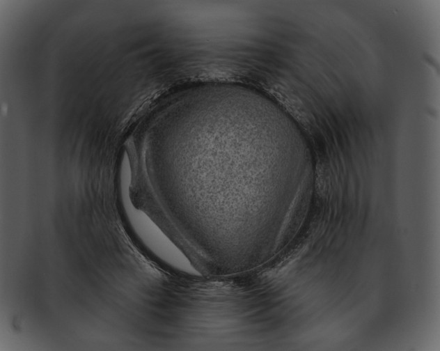 X0000093110449200710171226