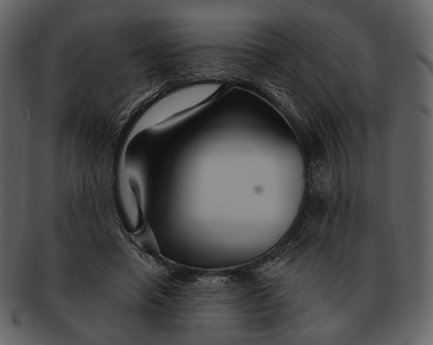 X0000093110450200710171226