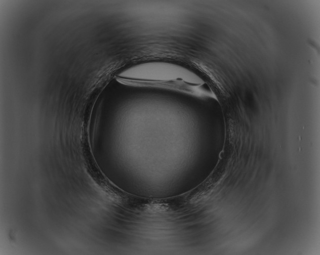 X0000093110451200710171226