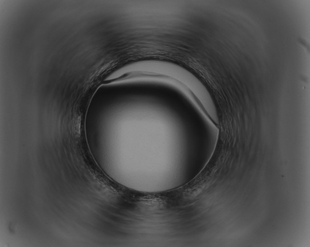 X0000093110454200710171226