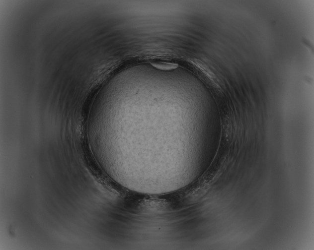 X0000093110455200710171226