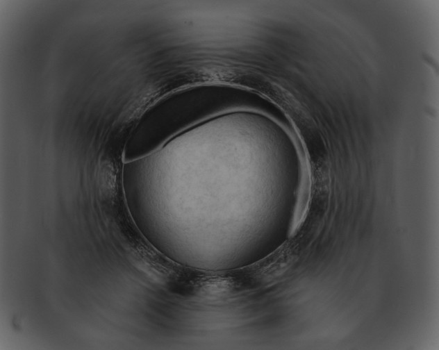 X0000093110456200710171226