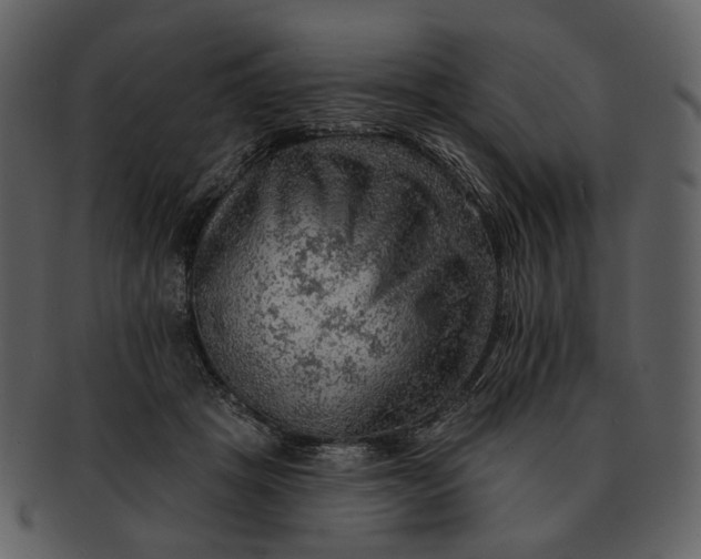 X0000093110457200710171226