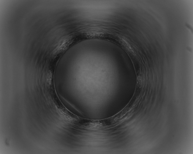 X0000093110458200710171226