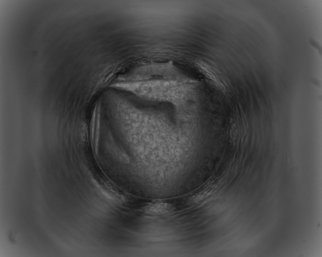 X0000093110459200710171226