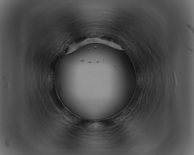 X0000093110460200710171226