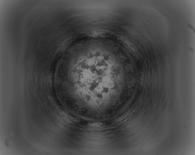 X0000093110461200710171226