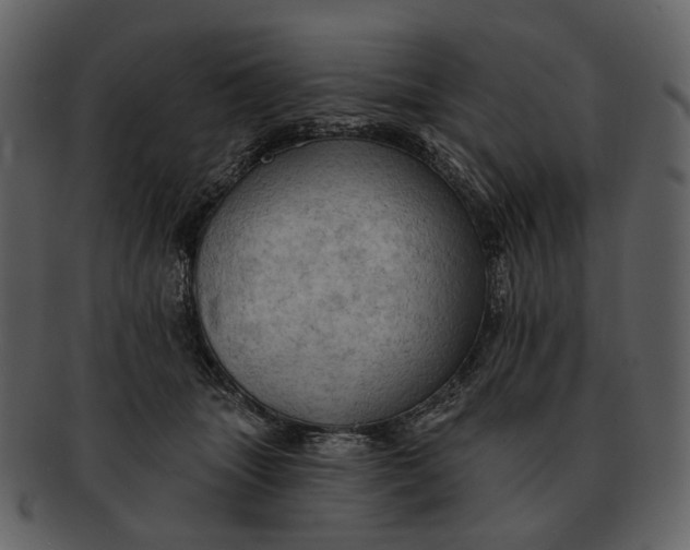 X0000093110463200710171226