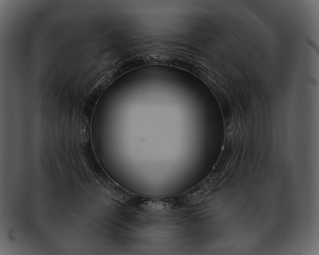 X0000093110464200710171226