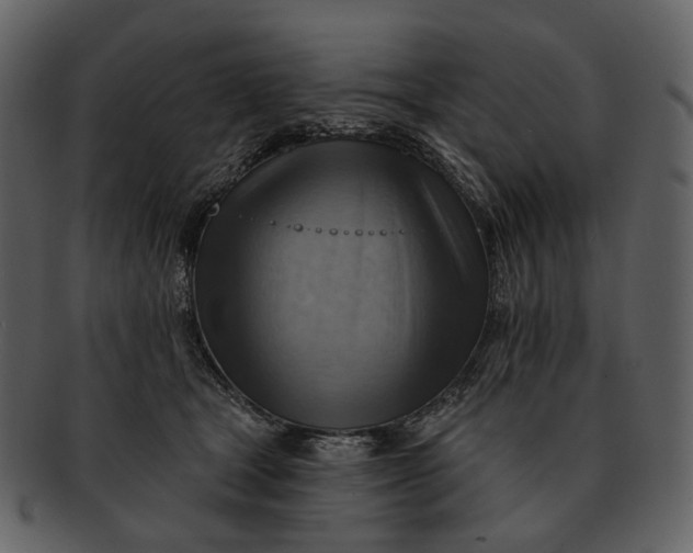 X0000093110465200710171226