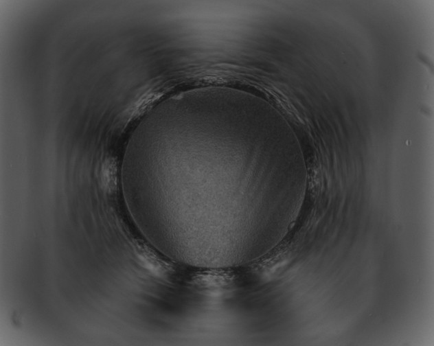 X0000093110466200710171226