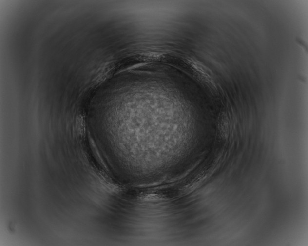 X0000093110467200710171226