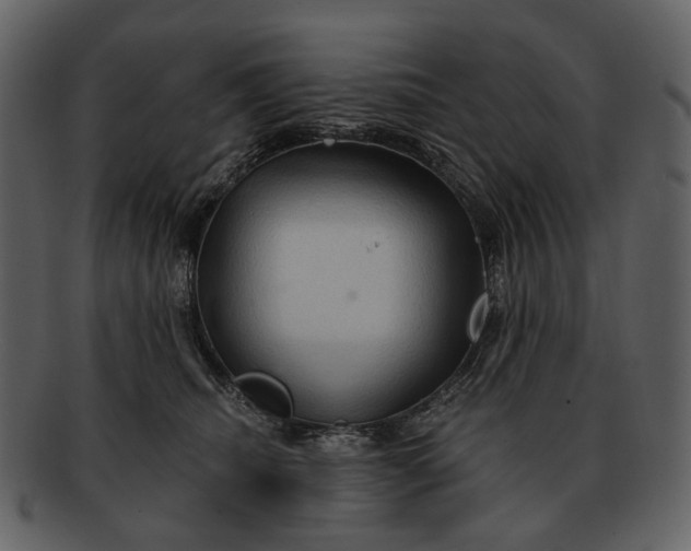 X0000093110468200710171226