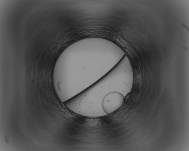 X0000093110469200710171226